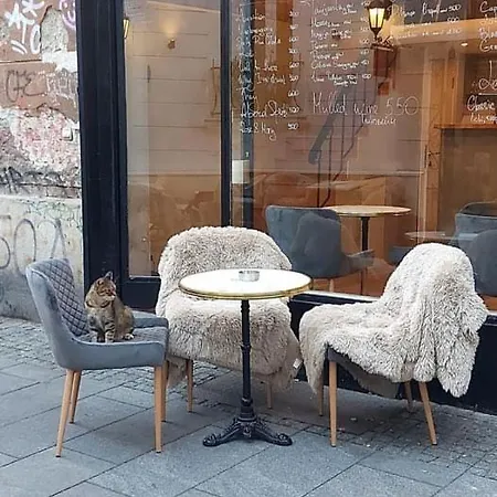 Gæstehus Skadarlija 4*