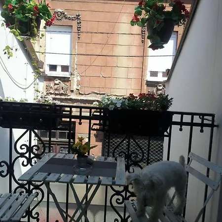 Skadarlija Guest house 4*